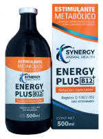 energyplusb123